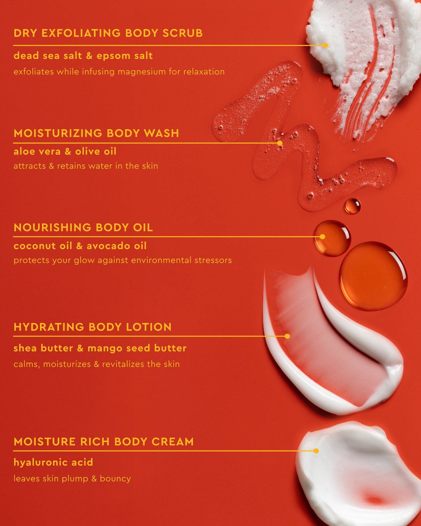 Body Full Collection Bundle